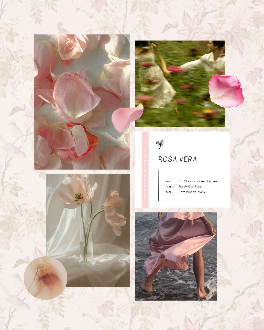 Rosa Vera
