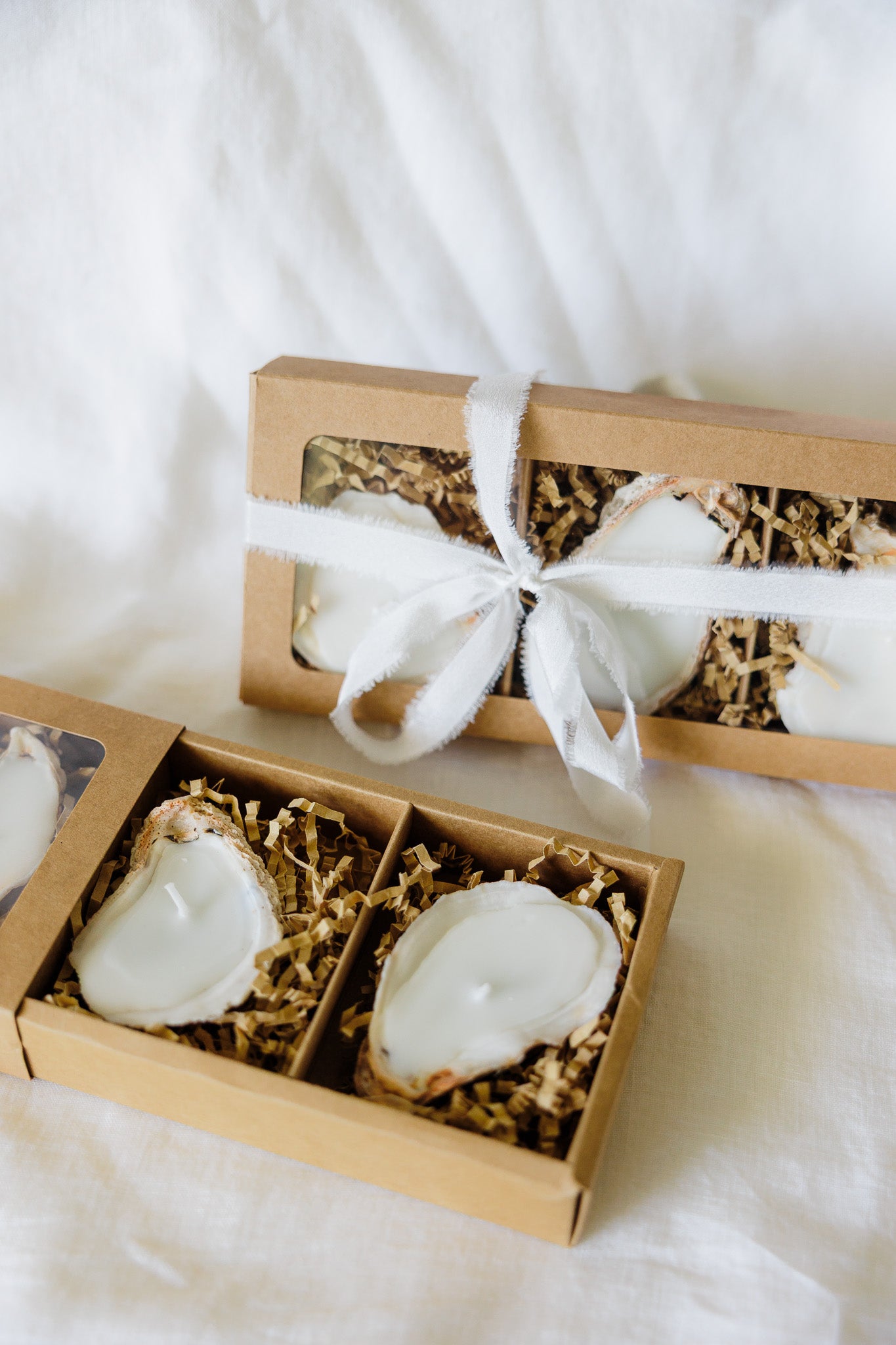 Oyster Shell Candles | Set of 3