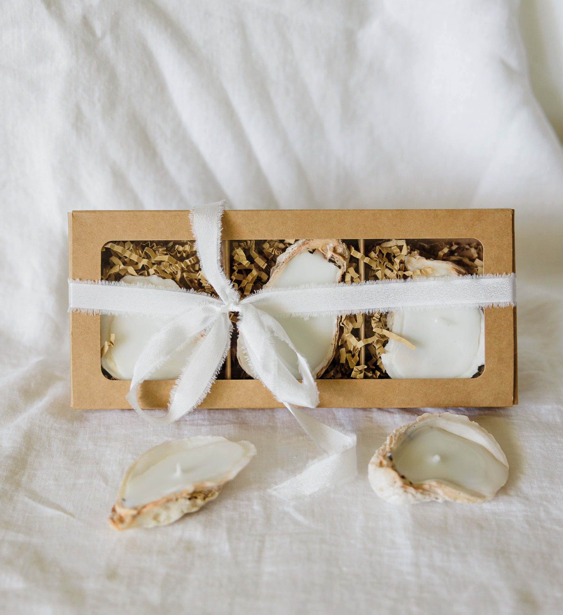 Oyster Shell Candles | Set of 3