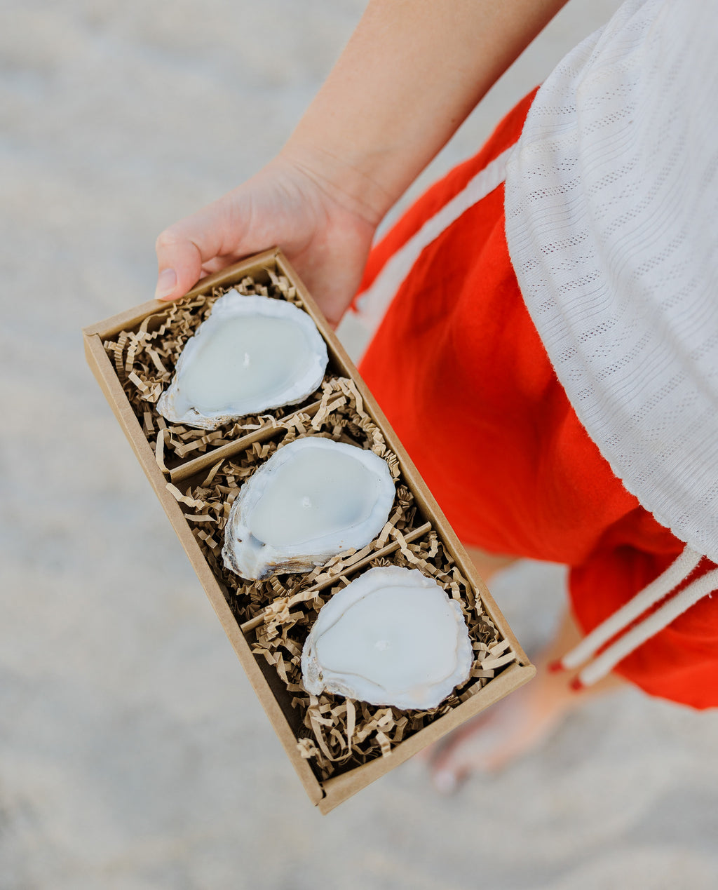 Oyster Shell Candles | Set of 3